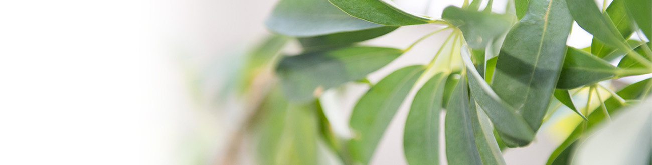 顧客本位の業務運営に関する方針